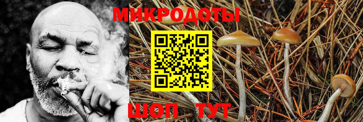 Псилоцибиновые грибы мицелий  Вход с VPN  Мытищи 